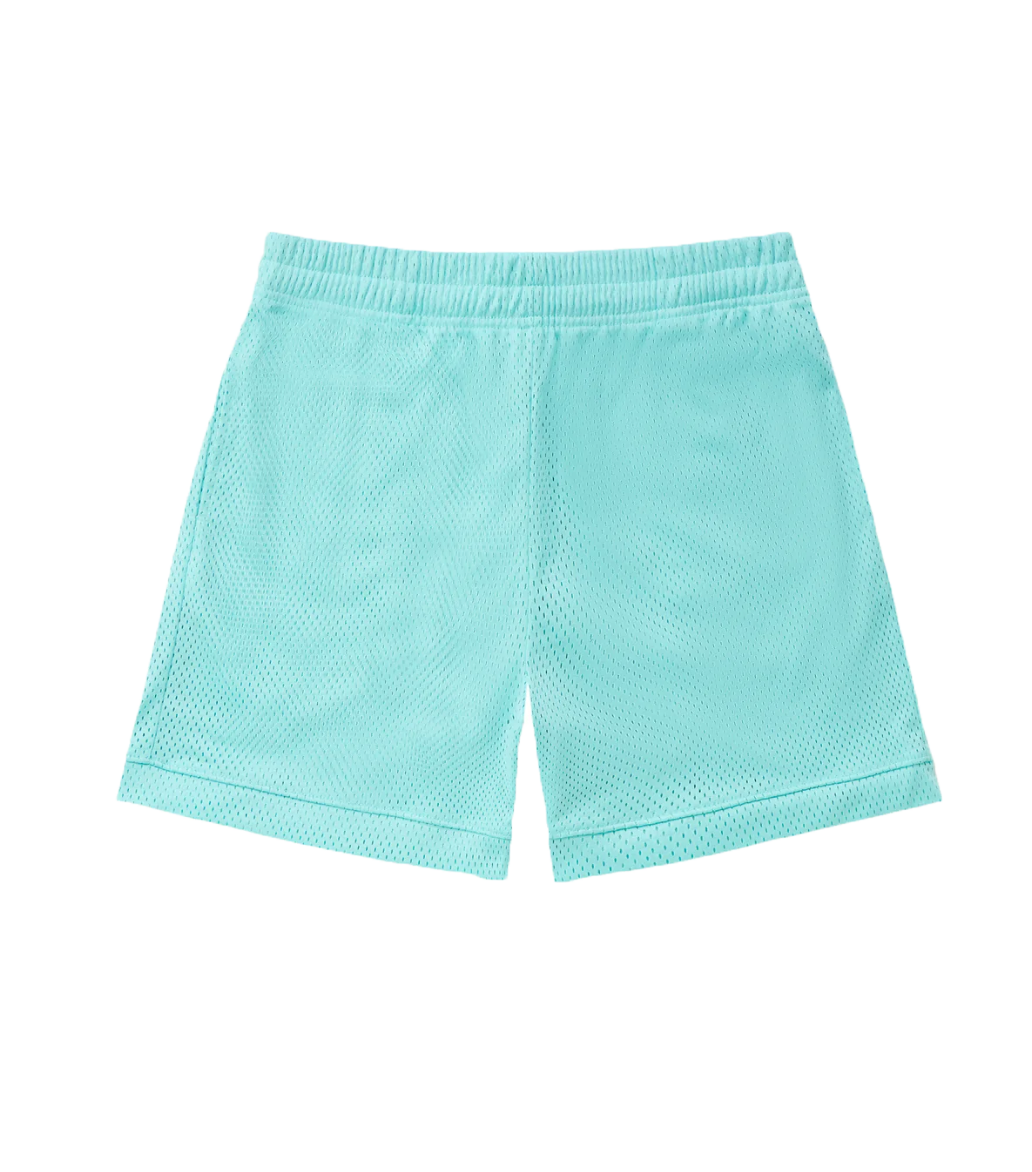 TEAL MESH SHORTS